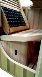 Dr. Fuji Sauna & Acupuncture Box - FJ-1002