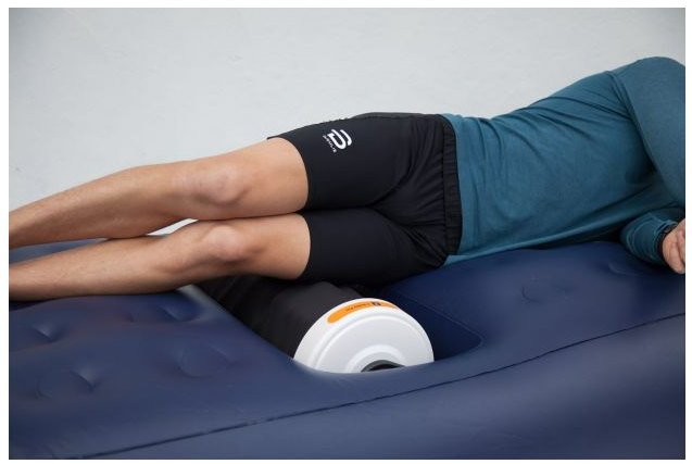 Dr. Fuji Cyber Body X Roller Pro - FJ-999